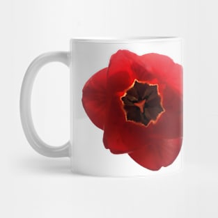 Tulip in Bloom Mug